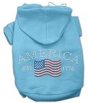 Classic American Hoodies (Color/Size: Baby Blue L)