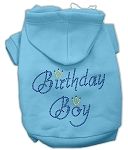 Birthday Boy Hoodies (Color/Size: Baby Blue L)