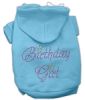 Birthday Girl Hoodies