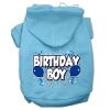 Birthday Boy Screen Print Pet Hoodies