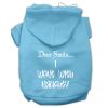 Dear Santa I Went with Naughty Screen Print Pet Hoodies