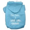 Dear Santa I Went with Naughty Screen Print Pet Hoodies